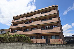 2 / 19