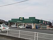 セリア  マミーズ大刀洗店まで800ｍ