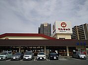 マルキョウ野中店まで250ｍ