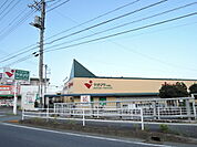 ヤオマサ 大磯店まで800ｍ