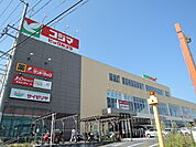 ヨークフーズ 北金目店まで550ｍ