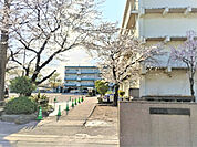 小学校