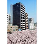 東京都目黒区大橋1丁目7-9：物件画像／株式会社ハウスメイトショップ　上野店