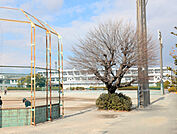 中学校