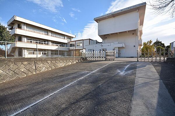 画像4:新里東小学校(670m)