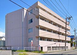 キュウブＥＸ 305