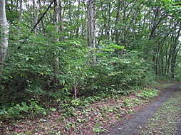 物件画像 野尻高原大学村、土地763平米