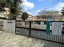 [周辺] 松戸市立常盤平中学校まで1324m、松戸市立常盤平中学校