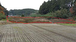 物件画像 2082番 山武市雨坪185- 土地