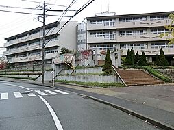 [周辺] 横浜市立南山田小学校まで396m