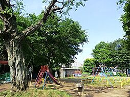 周辺環境:諏訪の森公園