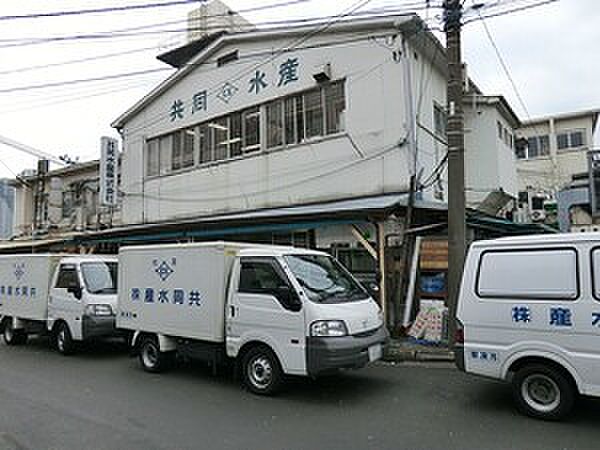 周辺 サンクタス築地 9階/-