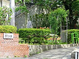 狸穴公園