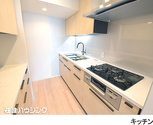 キッチン パークタワー西新宿 20階/-