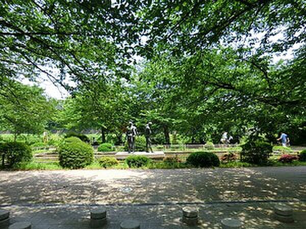 周辺を拡大表示
