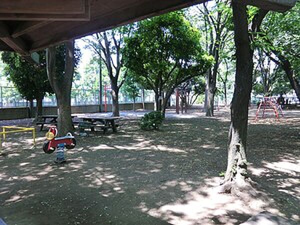 周辺 パークタワー勝どきサウス 43階/-