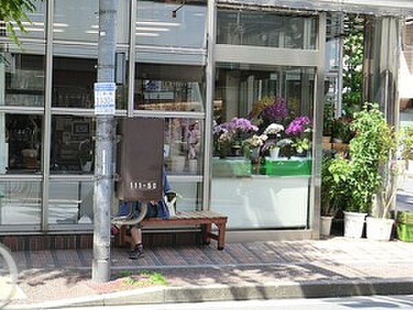 周辺 グランド・ガーラ麻布十番 12階/-