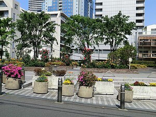 周辺 秀和溜池山王レジデンス 4階/-