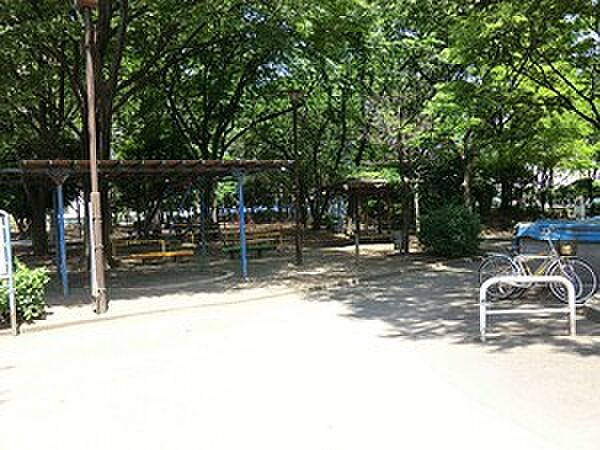 周辺 パークタワー勝どきミッド 19階/-