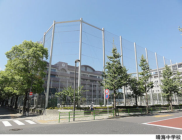 周辺 ザ・パークハウス晴海タワーズクロノレジデンス 15階/-