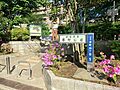 周辺環境:本町...