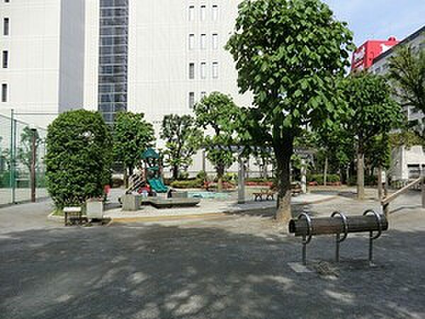 周辺を拡大表示