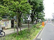 松沢公園