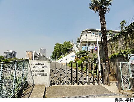 青柳小学校
