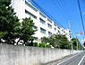 周辺：【大学】三軒茶屋　昭和女子大学まで1521ｍ