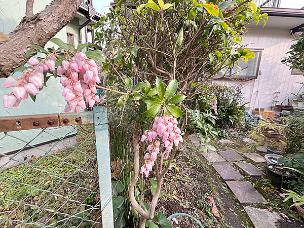 周辺を拡大表示