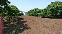 茨城県小美玉市羽鳥2352-1298：物件画像