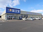 薬王堂 八戸河原木店 1750m