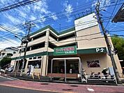 スーパー生鮮館TAIGA芹が谷店まで320m