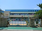 小峰幼稚園まで446m