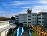 周辺：横浜市立新羽中学校まで2100m