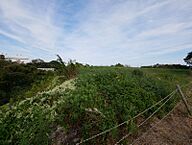 茨城県日立市東町4丁目：物件画像