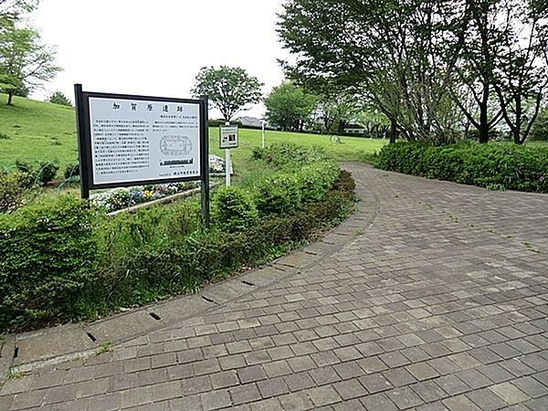 周辺を拡大表示