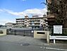 周辺：横浜市立東本郷小学校まで900m