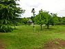 周辺：東山田公園まで400m