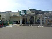 Fuji菅田店まで1000m