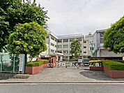 横浜市立新羽中学校まで1700m