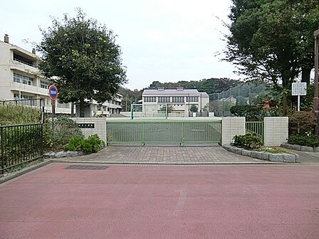 横浜市立本牧小学校まで450m