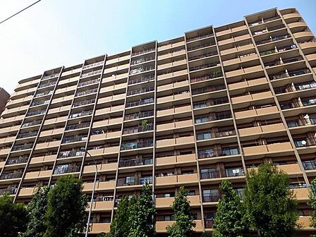 建物の足元には豊かな植栽・街路樹が整備されており、四季の彩りを感じられる心地よい住環境を演出しています。