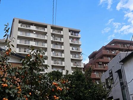 周辺は戸建てや低層住宅が広がる穏やかなエリア。遮るものが少なく、爽快な青空と心地よい風を感じられる開放的な住環境です。