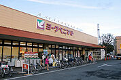 ヨークベニマル双葉台店まで747m