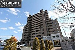 物件画像 サーパス赤塚　3F