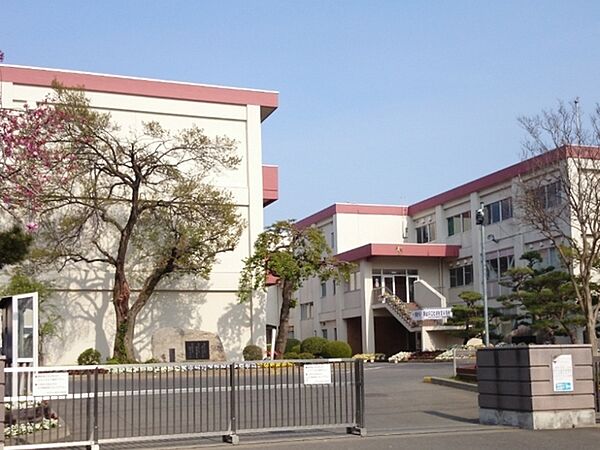 周辺を拡大表示