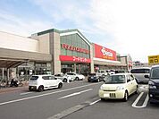 ベイシア佐倉店まで919m