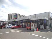 トウズ　京成佐倉店まで448m
