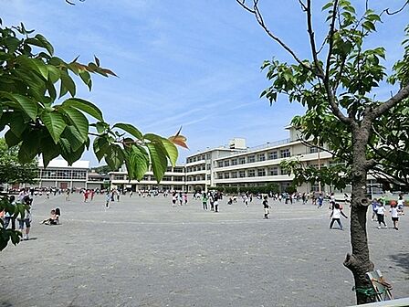 鎌倉市立第一小学校まで864m